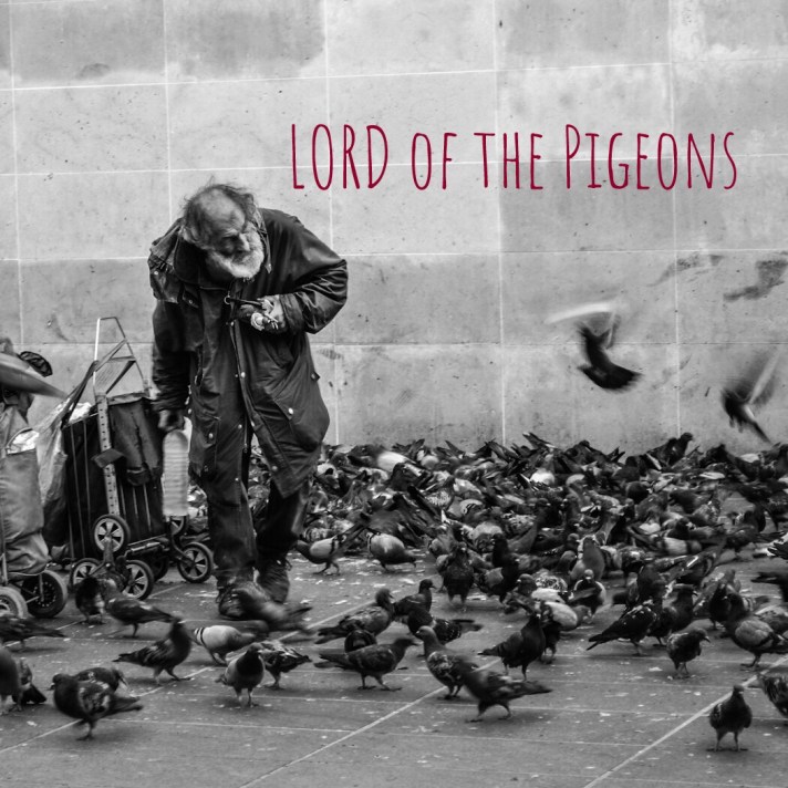 Pigeons Scripture LORD of the Pigeons β Isaiah 50:4 Blues